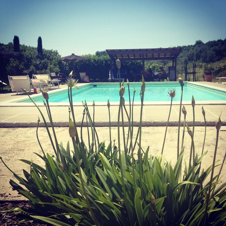 Hostal Il Borghetto Andrea Tafi Lamporecchio Exterior foto